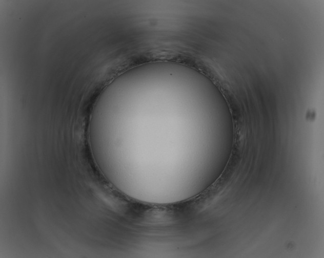 X0000094920745200712131514