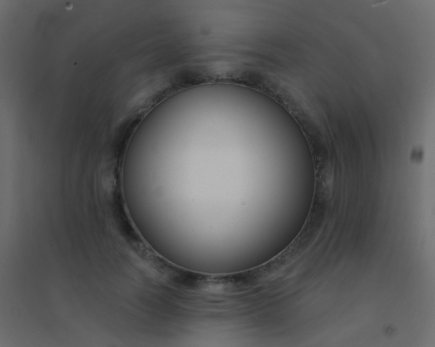 X0000094920746200712131514