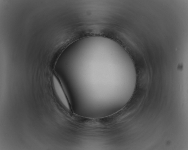 X0000094920747200712131514