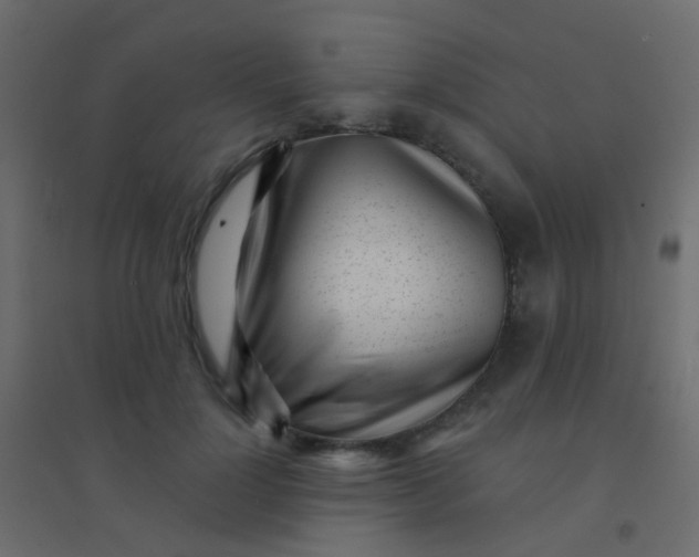 X0000094920748200712131514