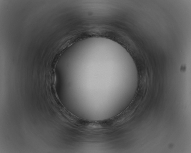 X0000094920749200712131514