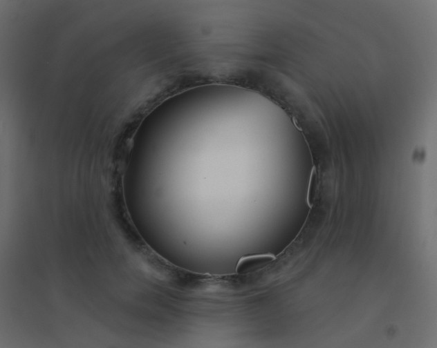 X0000094920750200712131514