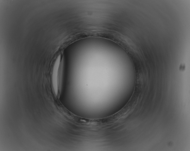 X0000094920751200712131514