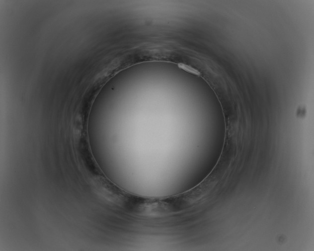 X0000094920752200712131514