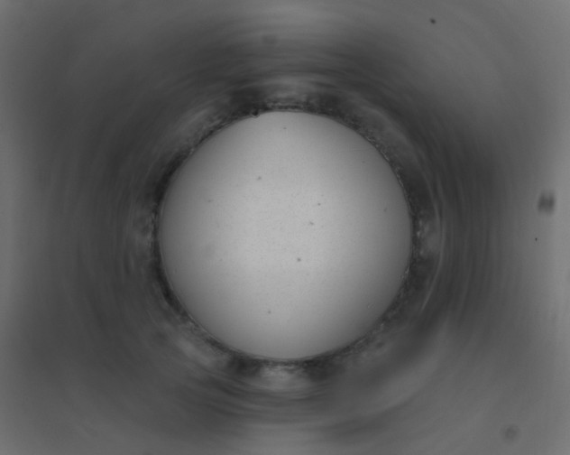 X0000094920753200712131514