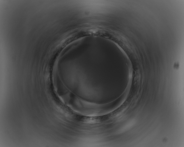 X0000094920754200712131514