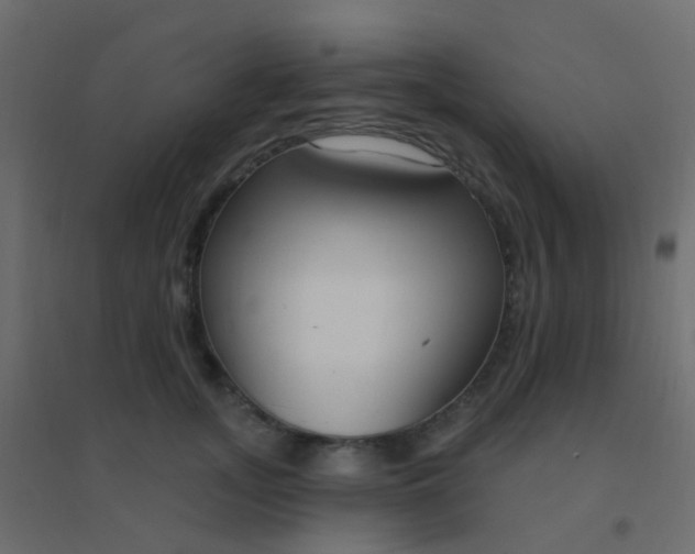 X0000094920755200712131514