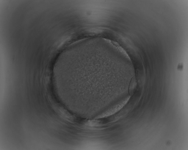 X0000094920758200712131514