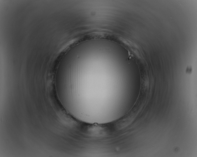 X0000094920759200712131514