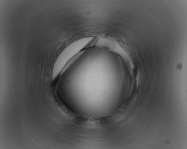 X0000094920760200712131514