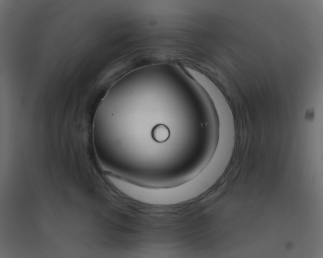 X0000094920762200712131514