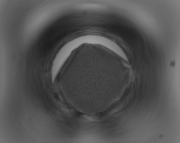 X0000094920763200712131514