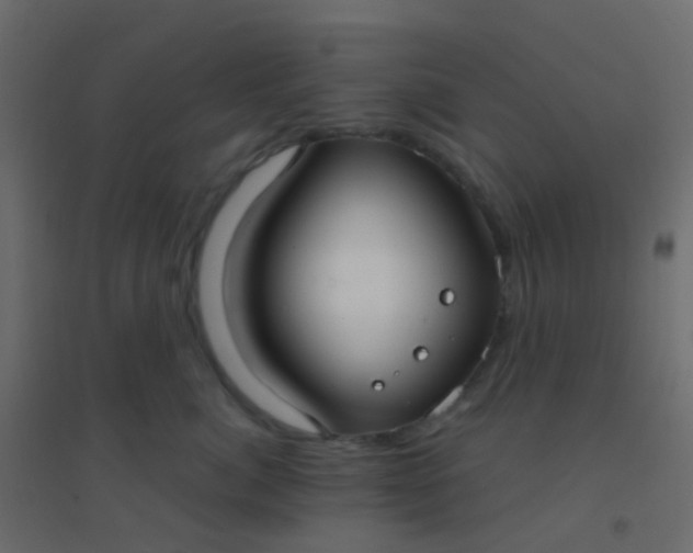 X0000094920764200712131514