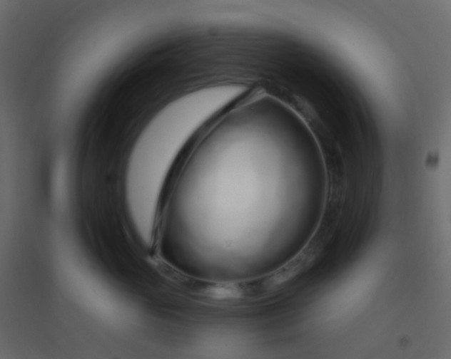 X0000094920765200712131514