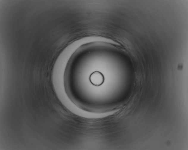 X0000094920766200712131514