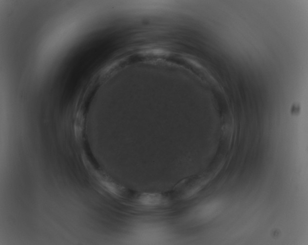 X0000094920767200712131514