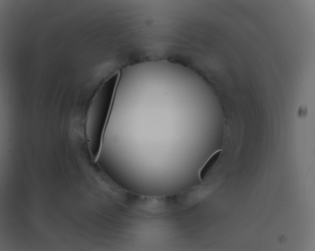 X0000094920768200712131514