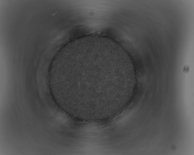 X0000094920769200712131514