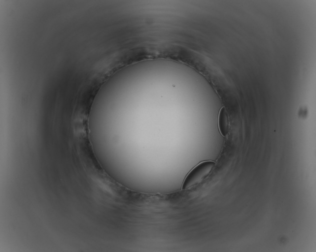 X0000094920770200712131514