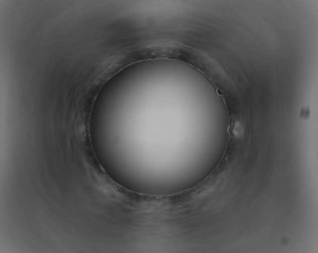 X0000094920771200712131514