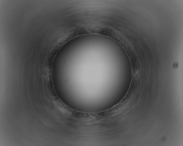 X0000094920772200712131514