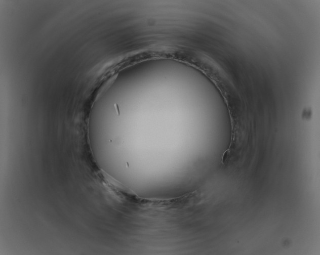 X0000094920773200712131514