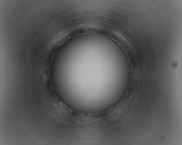 X0000094920774200712131514