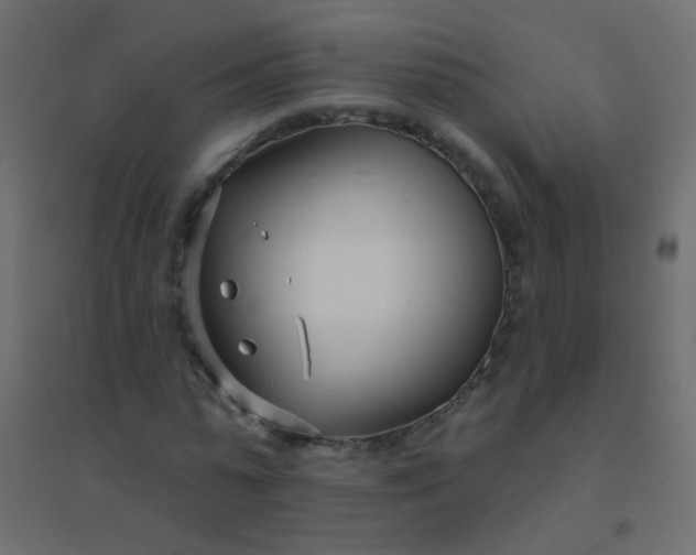 X0000094920775200712131514