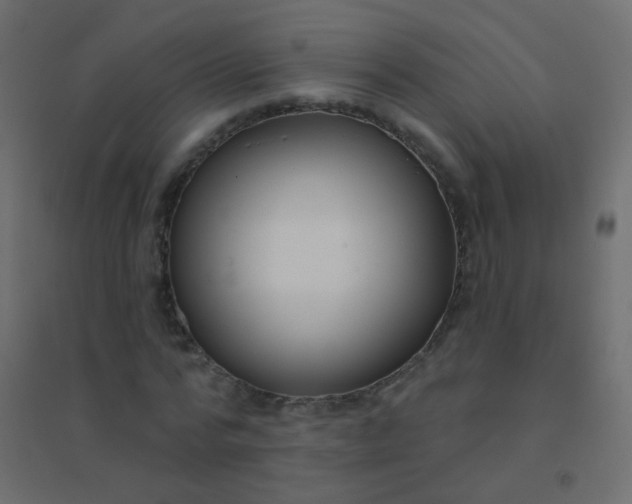 X0000094920776200712131514