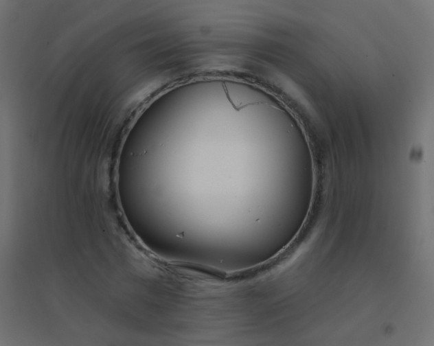 X0000094920777200712131514