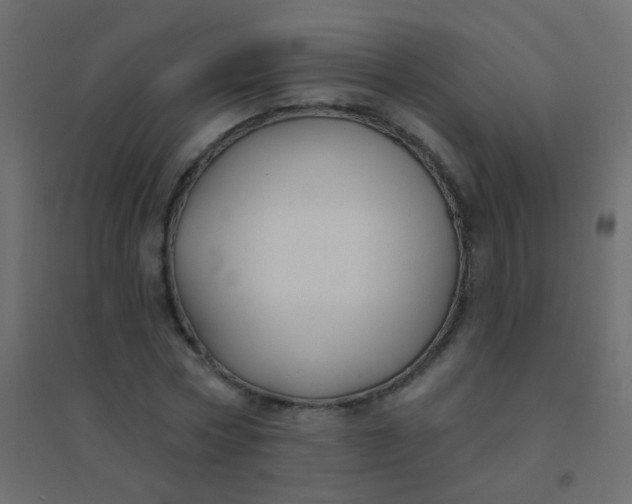 X0000094920778200712131514