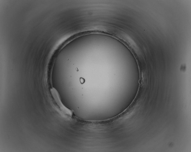 X0000094920780200712131513