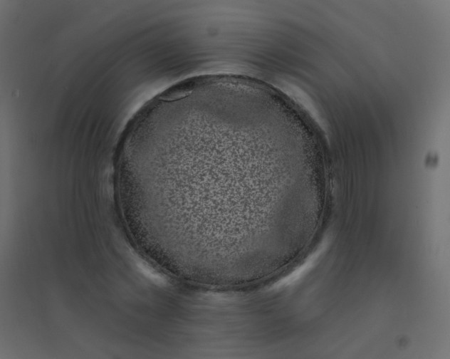 X0000094920781200712131513