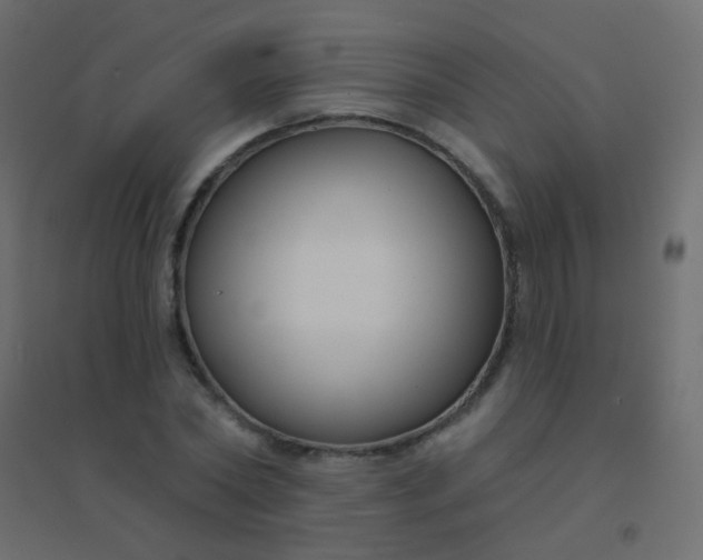 X0000094920782200712131513