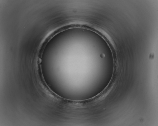 X0000094920783200712131513