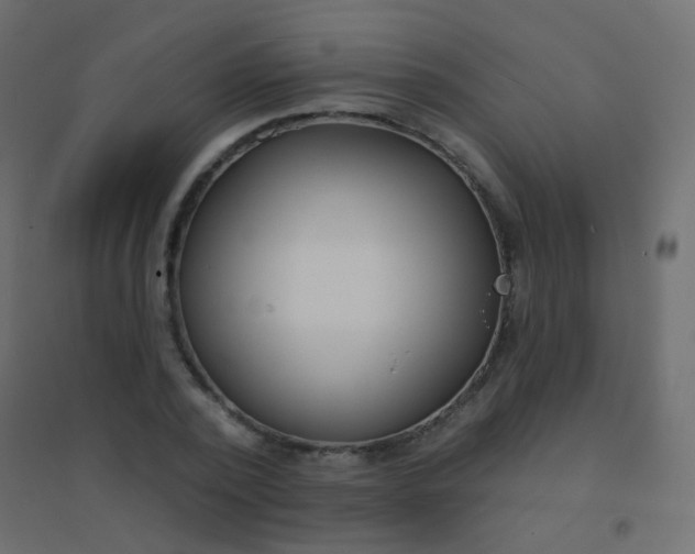 X0000094920784200712131513