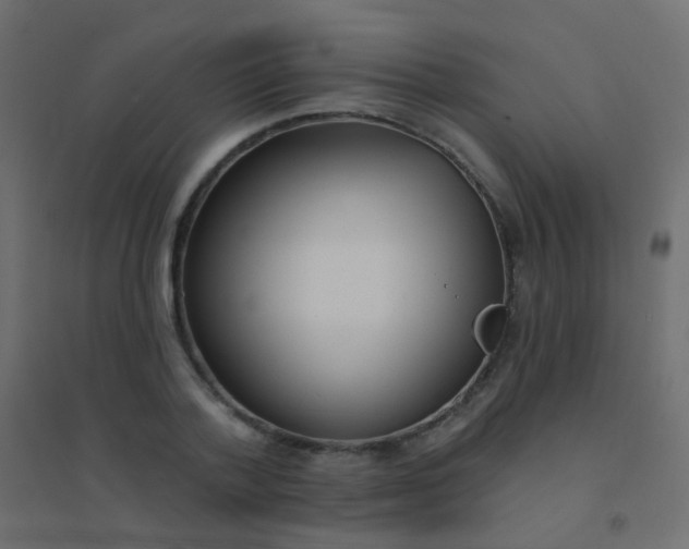 X0000094920788200712131513