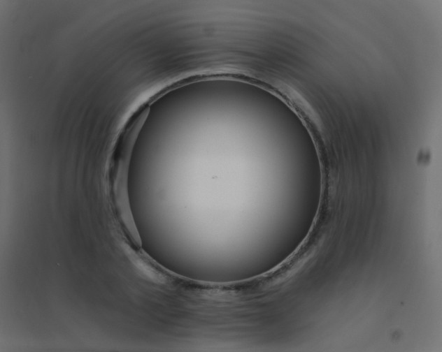 X0000094920789200712131513