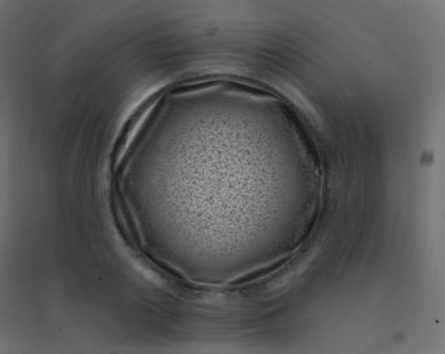 X0000094920790200712131513