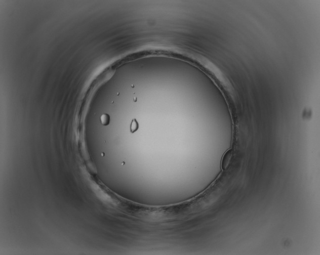 X0000094920791200712131513