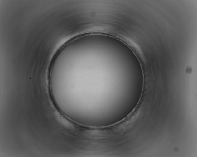 X0000094920792200712131513