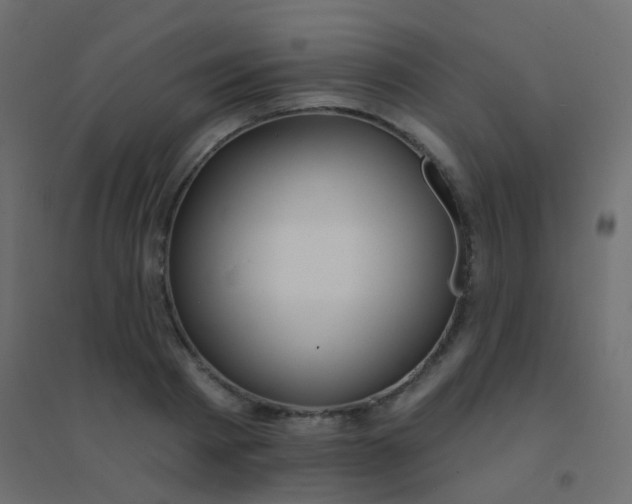 X0000094920793200712131513