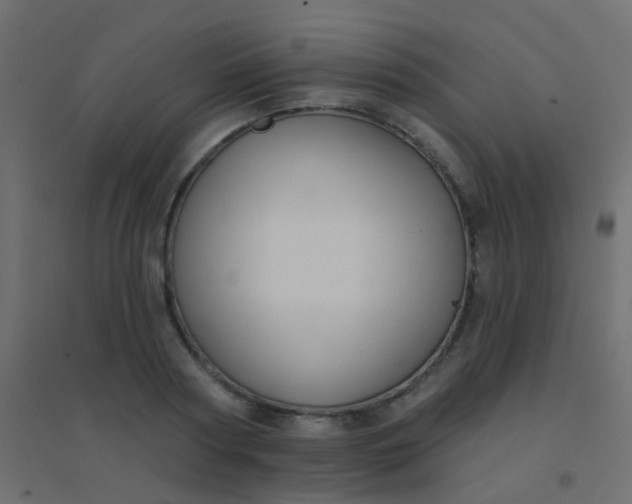 X0000094920794200712131513