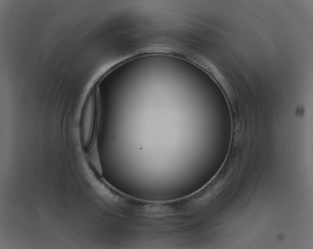 X0000094920795200712131513