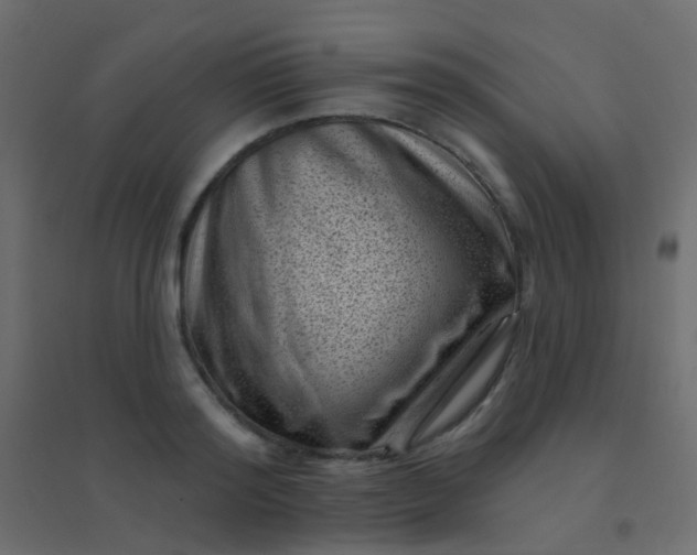 X0000094920796200712131513