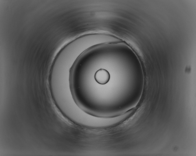 X0000094920797200712131513