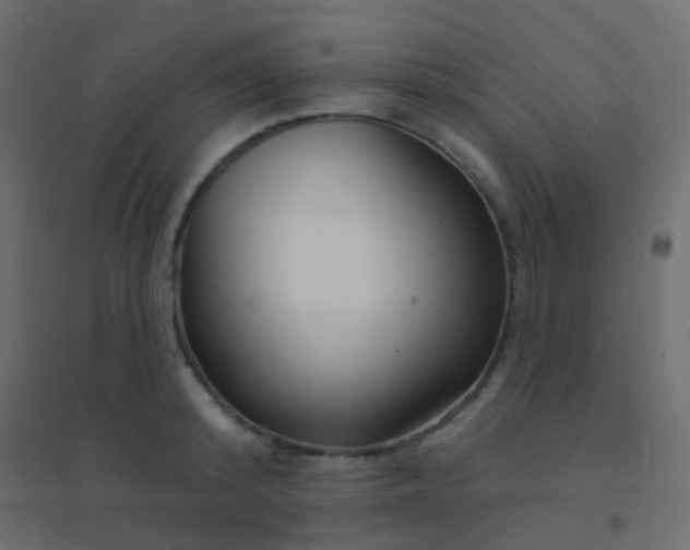 X0000094920800200712131513