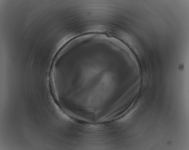 X0000094920802200712131513