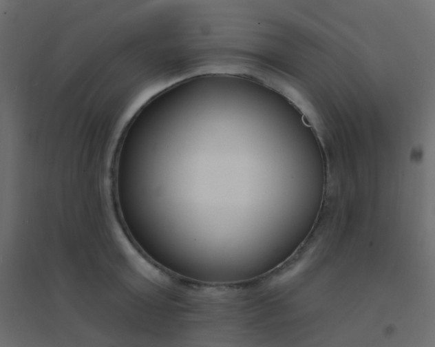 X0000094920803200712131513