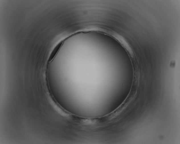 X0000094920805200712131513